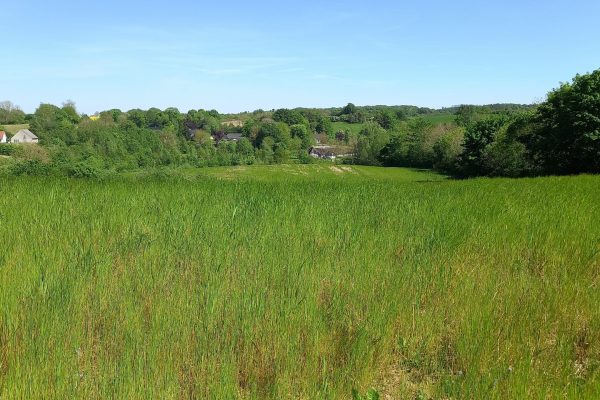 Markvandring i Magtenbølle